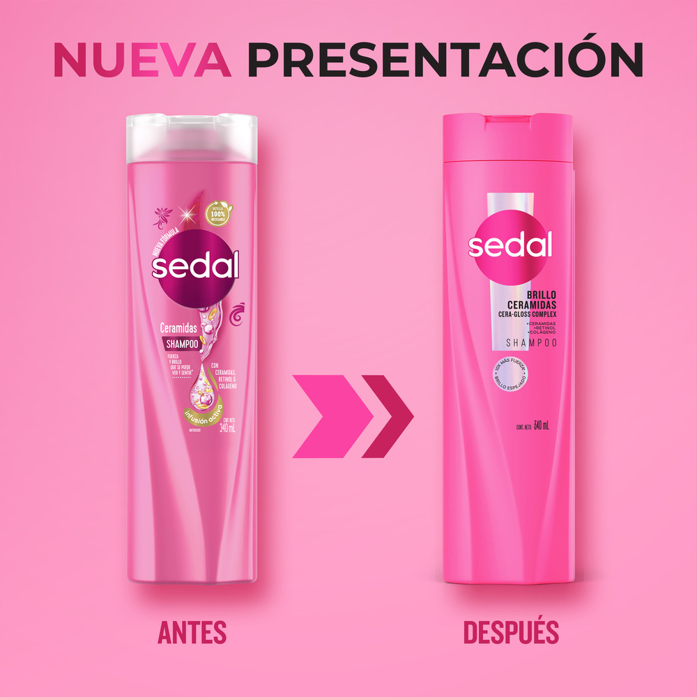 Sedal Shampoo Ceramidas Botella 340 ml