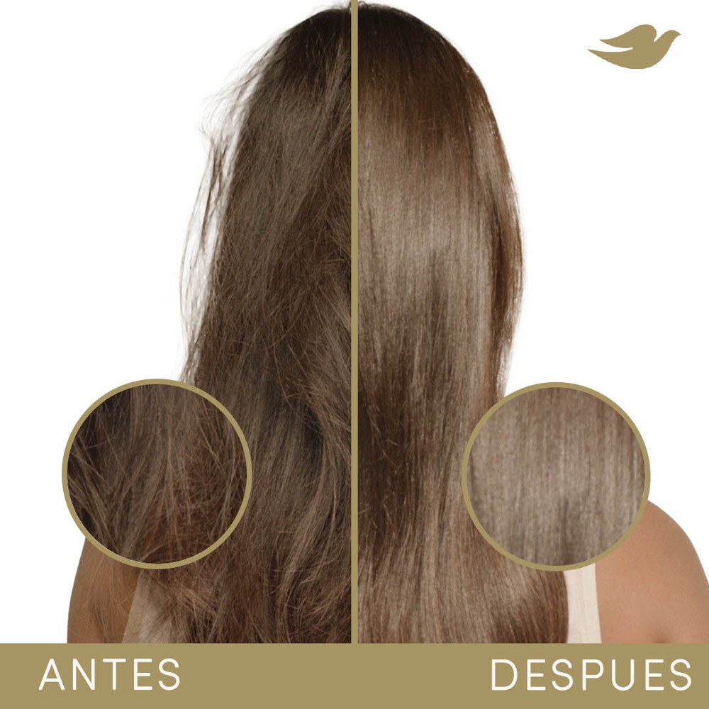 Dove Shampoo Bond Repair + Péptido 200 ml